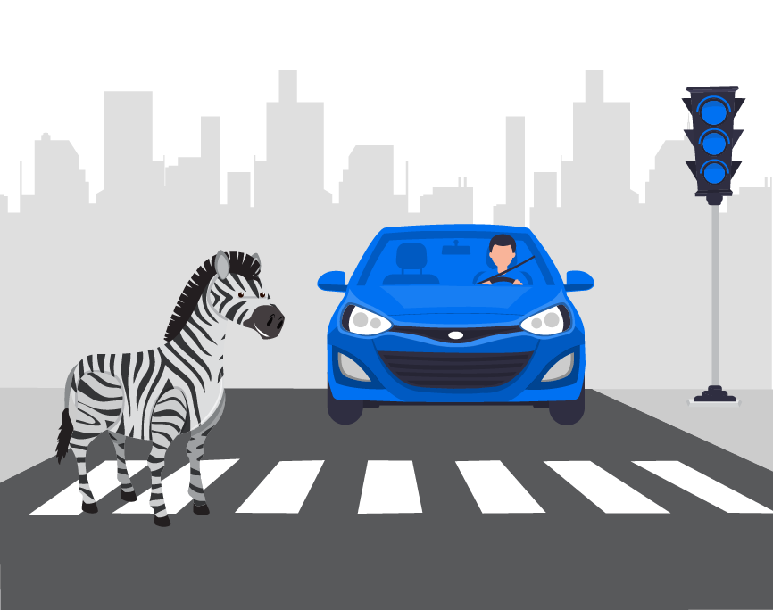 Use zebra crossings