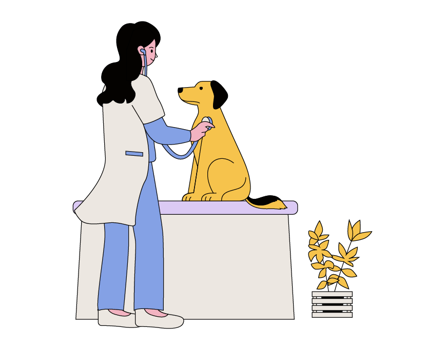 Pet Doctor Examining dog