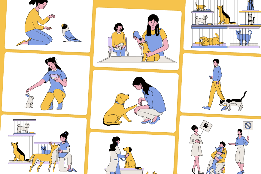 Pet care and animal welfare illustrations